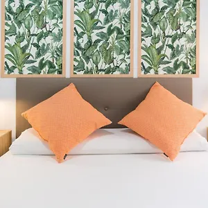  Apartamento Mp5-just Renovated Right On The España